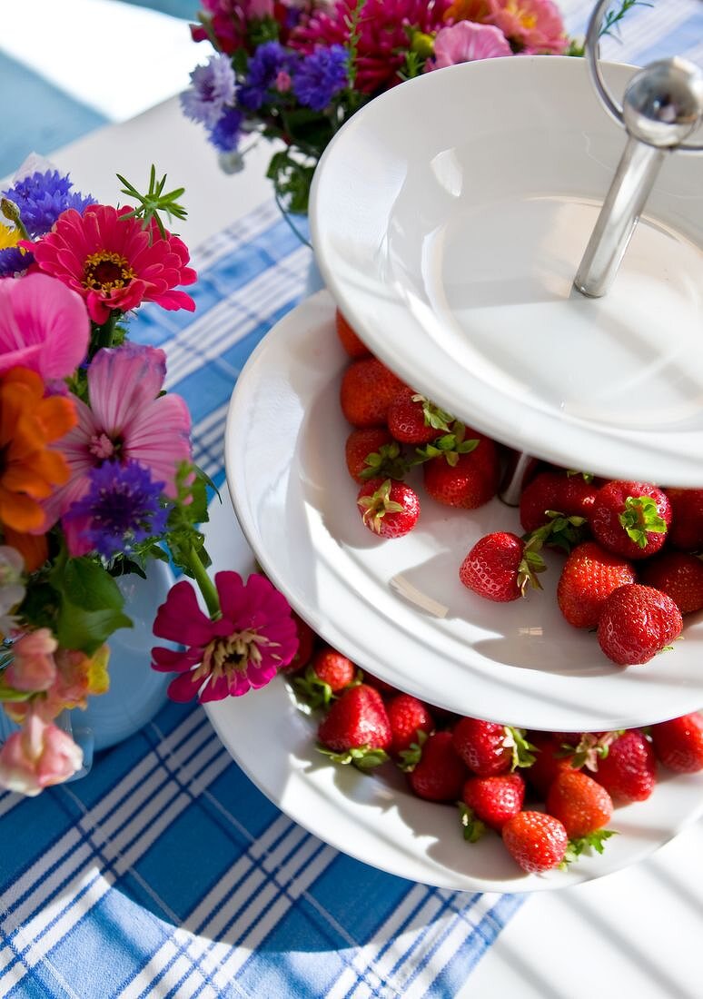 Etagere aus Porzellan mit Erdbeeren auf Tisch mit karierter Decke