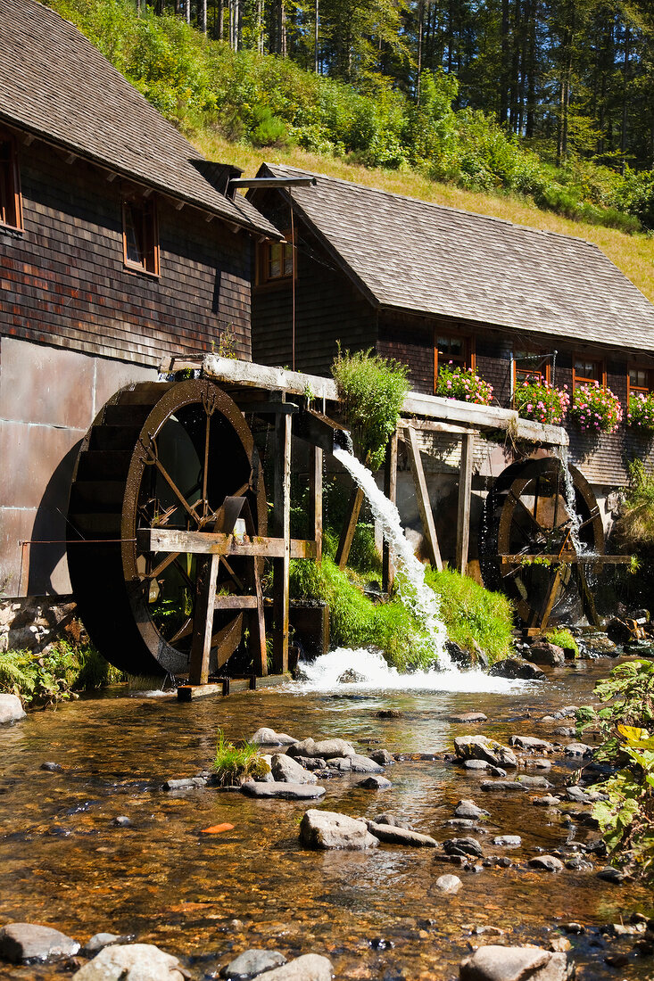 Schwarzwald: Hexenlochtal, Wasserräder, Heubach, sommerlich