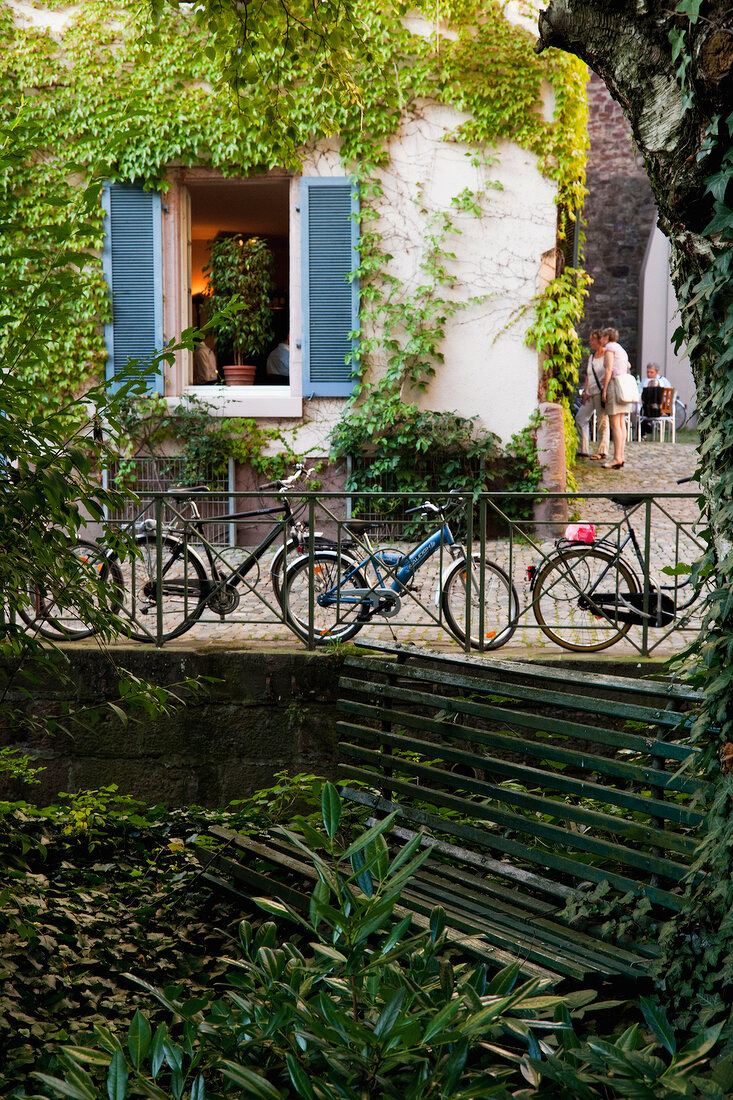 Building with overgrown creepers, Freiburg, Black Forest, Germany