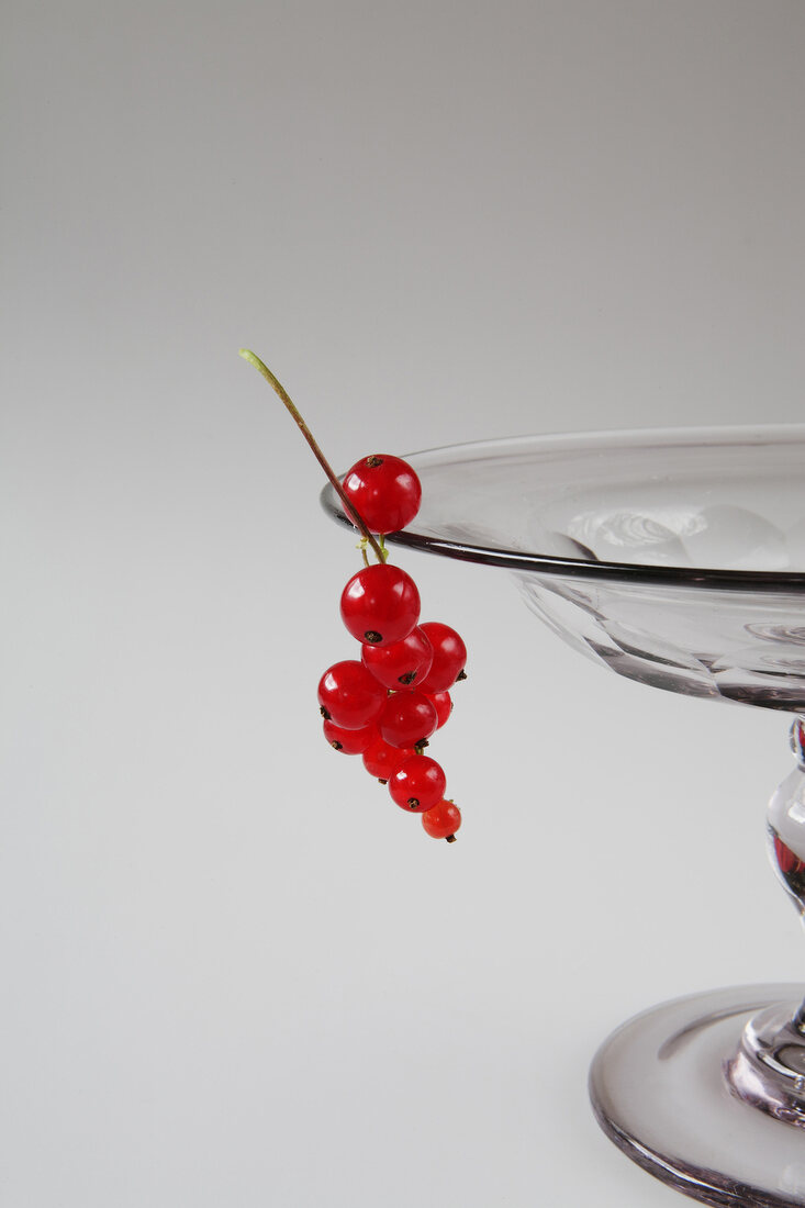 Close-up of bowl with red currant