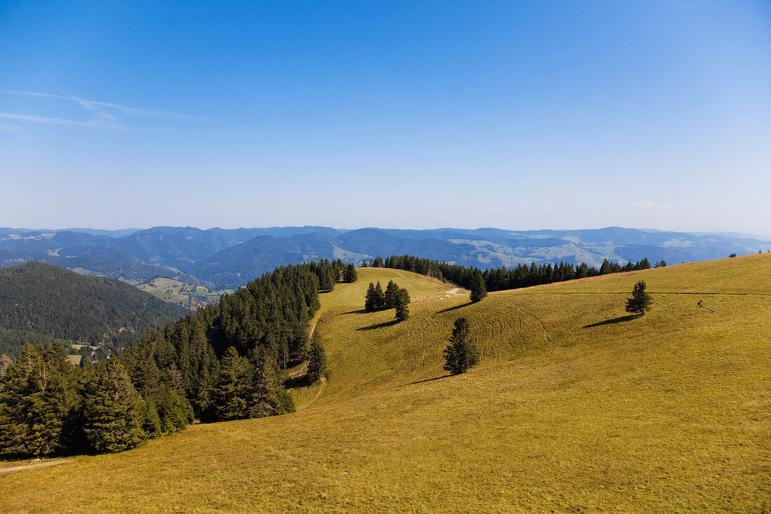 Schwarzwald: Westweg, Blick über Hügellandschaft, sommerlich