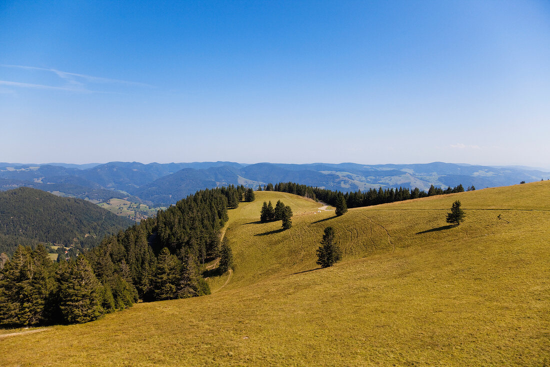 View of Westweg from over hills in Black Forest, Germany