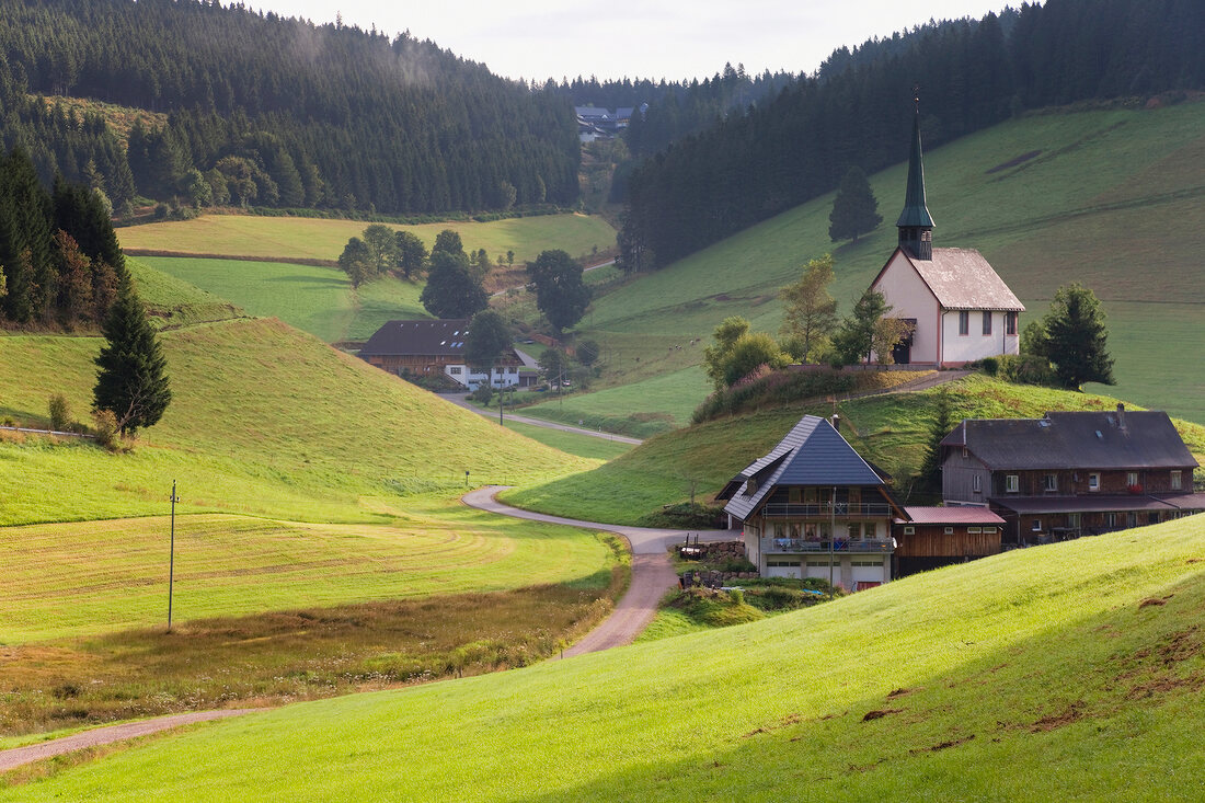 View of village church and trees with mountain hills in Katzensteig, Black Forest, Germany