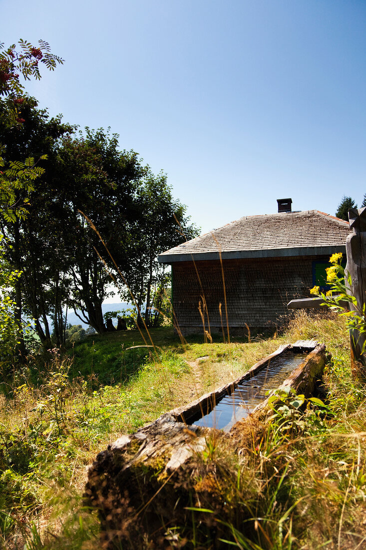 Schwarzwald: Todtnauberg, Hütte, abgeschieden, sommerlich