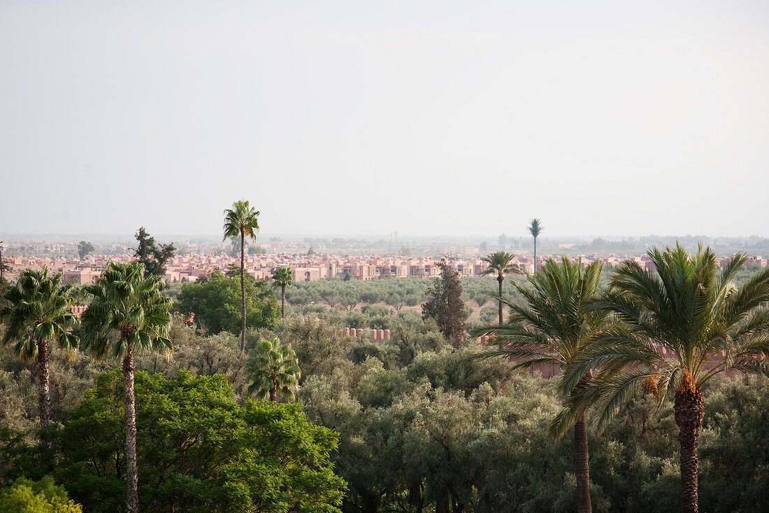 Marokko, Marrakesch, Stadtansicht, X 