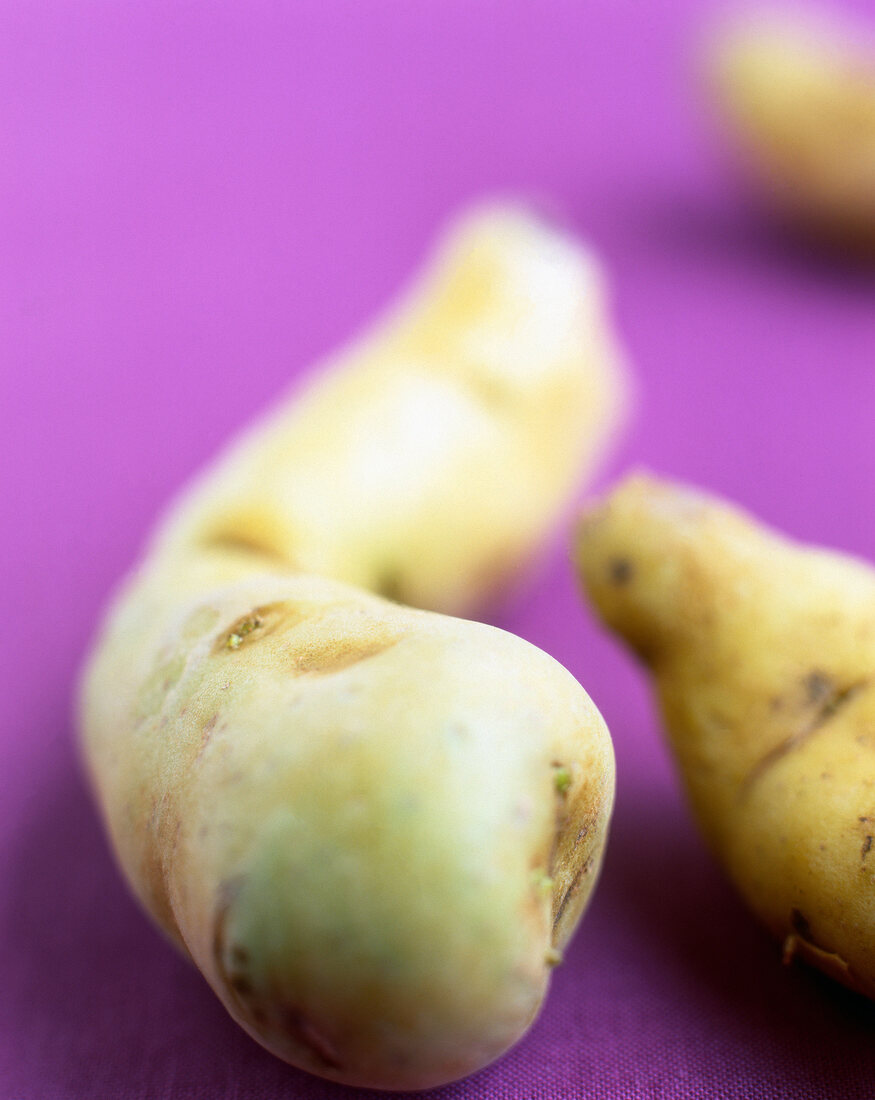 Close-up of ratte potato on purple background