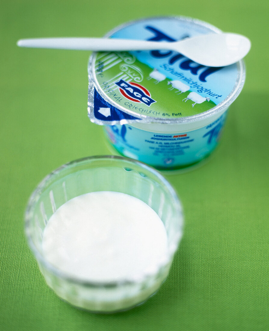 Sheep milk yogurt and goat milk yogurt on green background