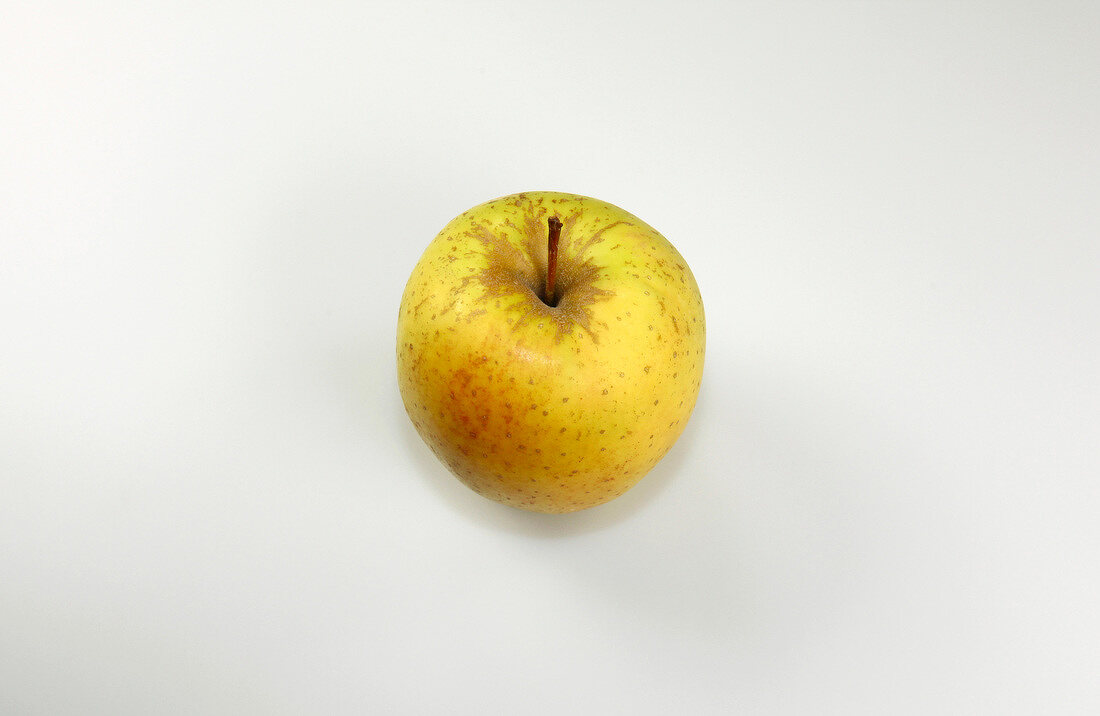 Apfelsorte Golden Delicious, Freisteller