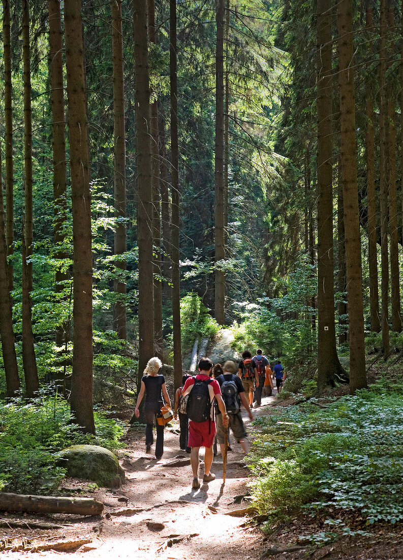 Rear view of tourist hiking at Malerweg, Saxony Switzerland Forest, Germany