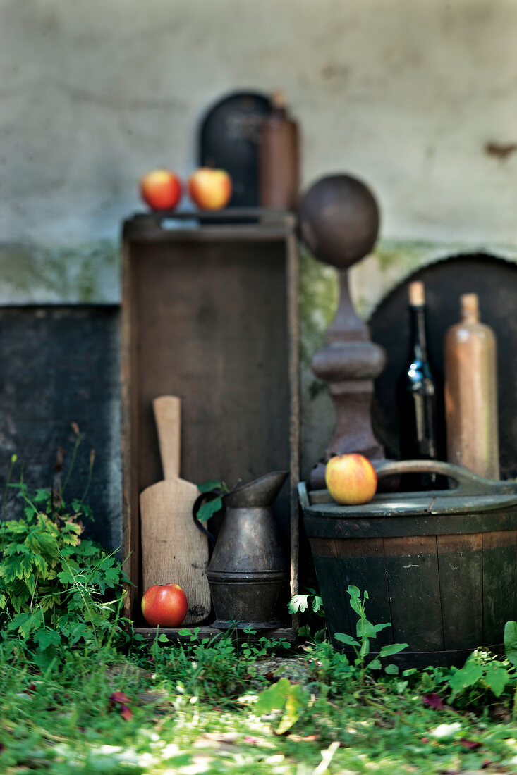 Apples with various garden utensils in garden