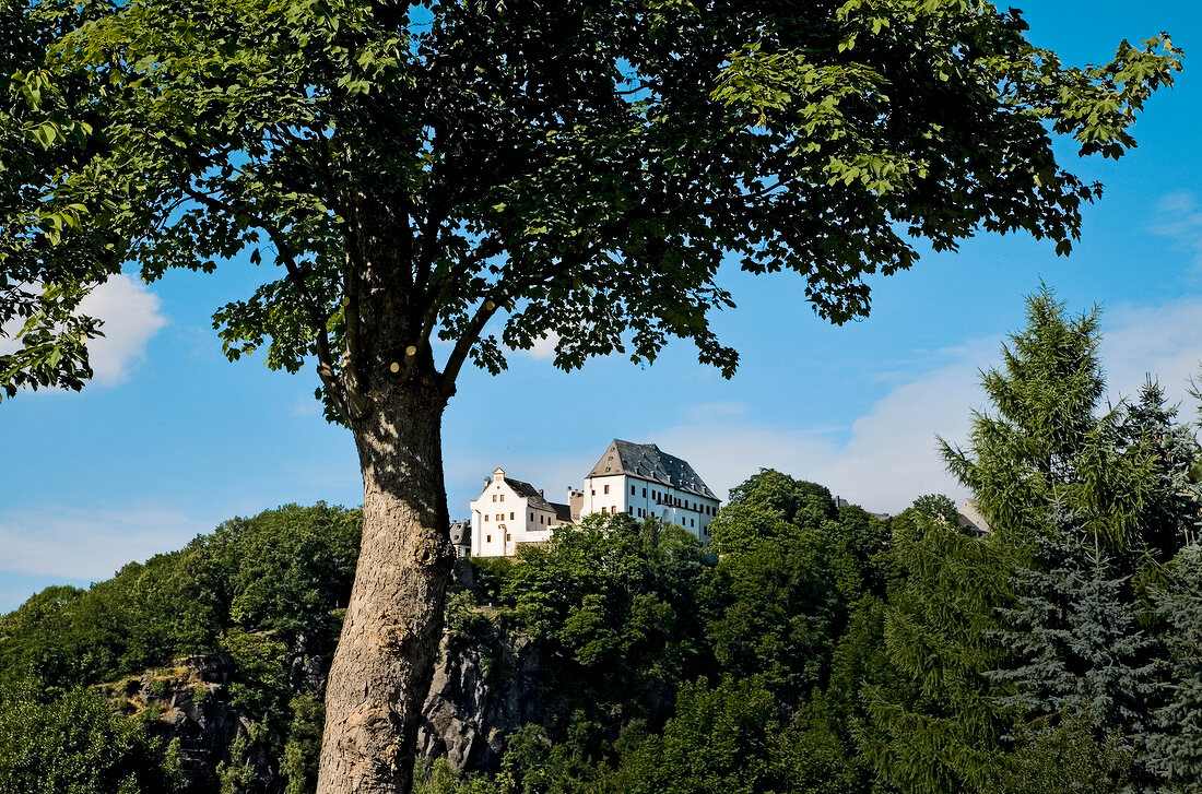 Sachsen: Burg Wolkenstein, Bäume grün, Himmel blau, sommerlich