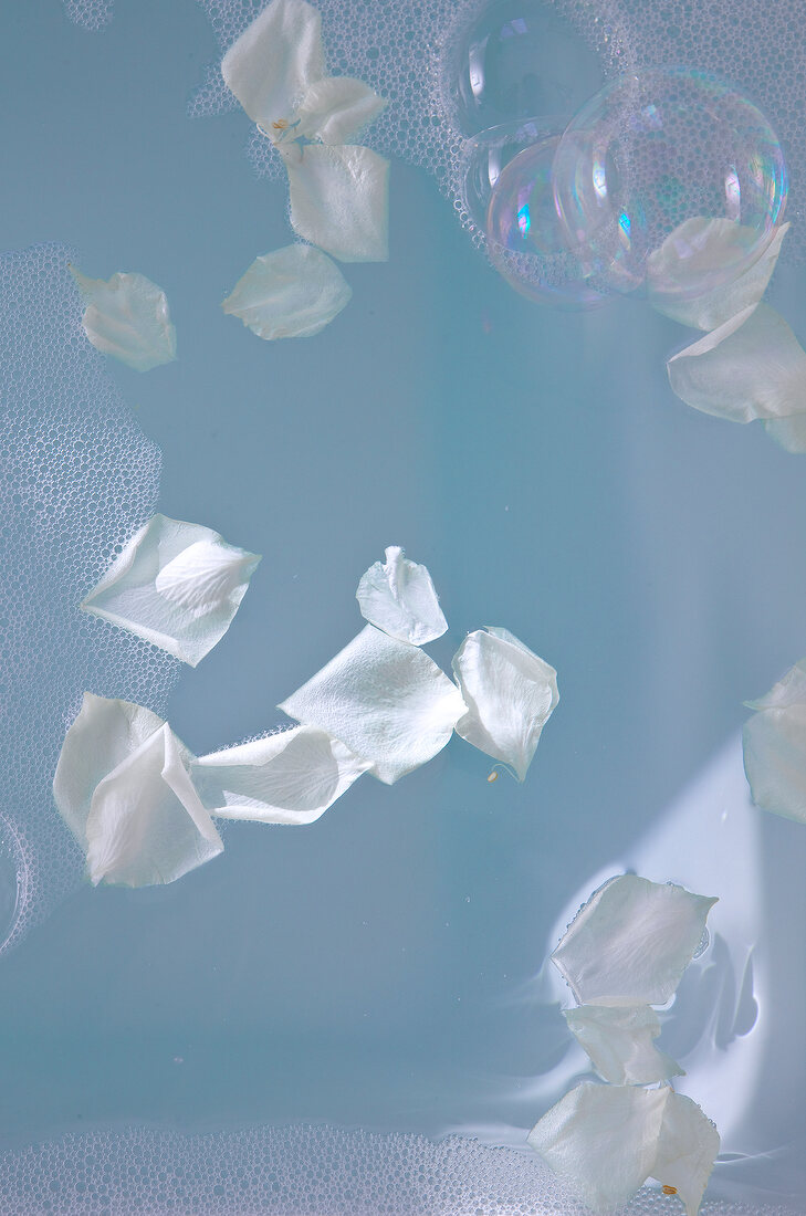 White rose petals in soap water with bubbles