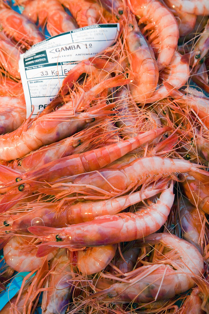Close-up of pile of gambas, overhead view