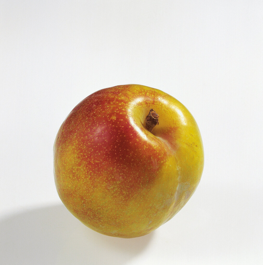 Close-up of Japanese plum