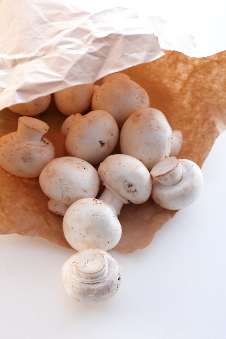 Close-up of white mushrooms in brown paper bag