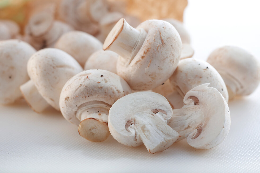 Close-up of white mushrooms on white surface