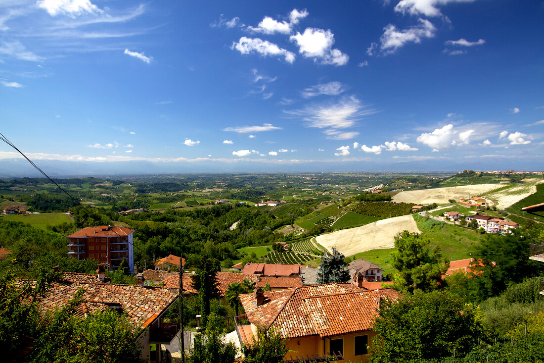 View of vineyard in Monforte d'Alba in Piedmont, Italy