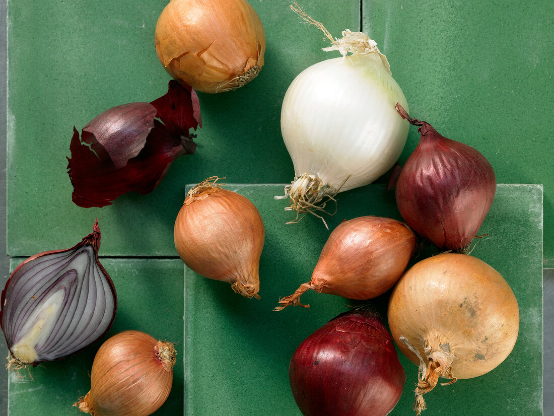 Onions and shallots on green background