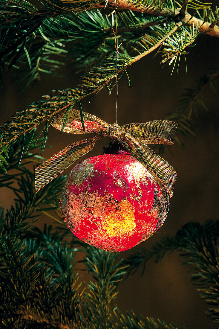 Close-up of various tree ornaments hanging on Christmas tree