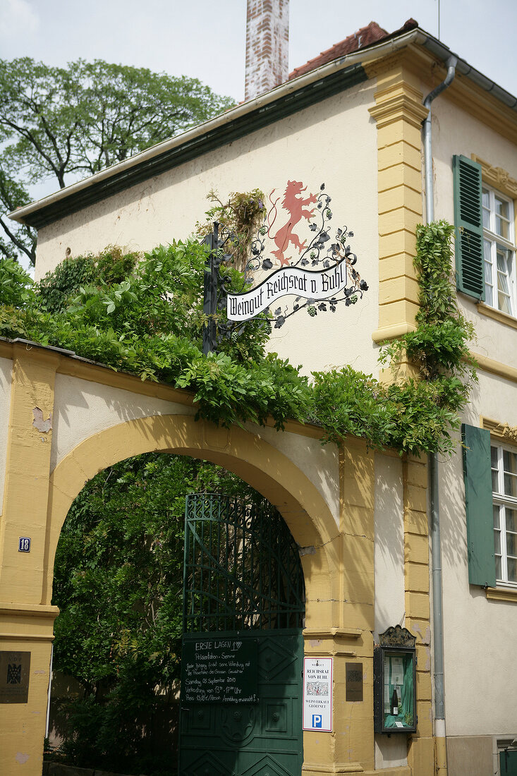 Reichrat von Buhl Weingut Pfalz