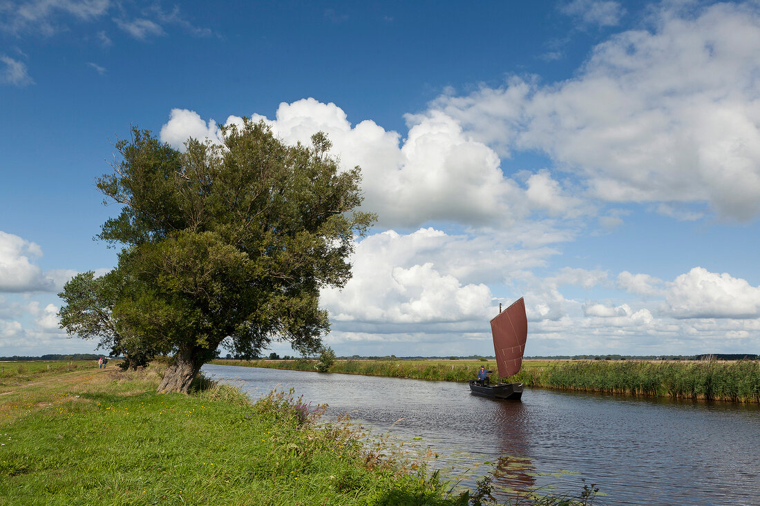 Sailboat in river, Worpswede, Lower Saxony, Germany