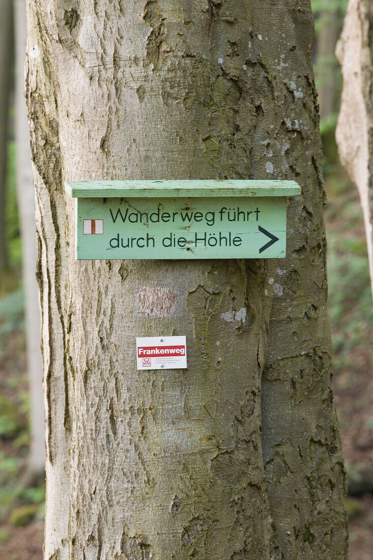 Sign board on tree trunk in Nature Park, Franconian Switzerland, Bavaria, Germany