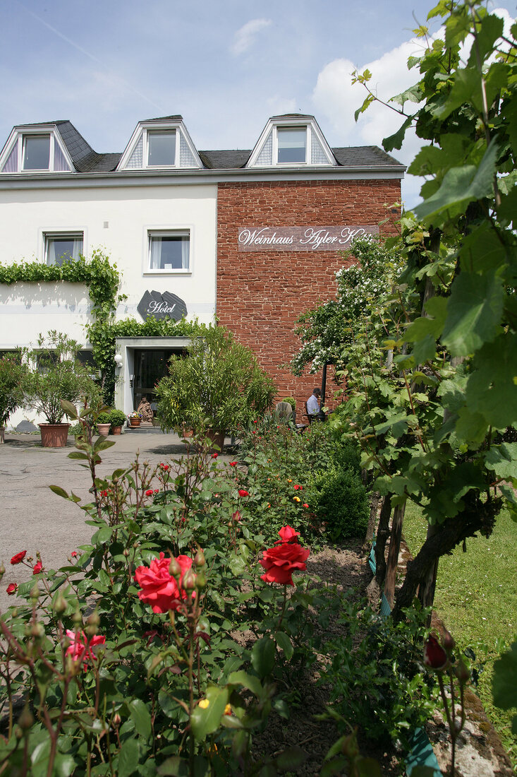 Weinhaus Ayler Kupp-Hotel gehört zum Weingut Peter Lauer Mosel