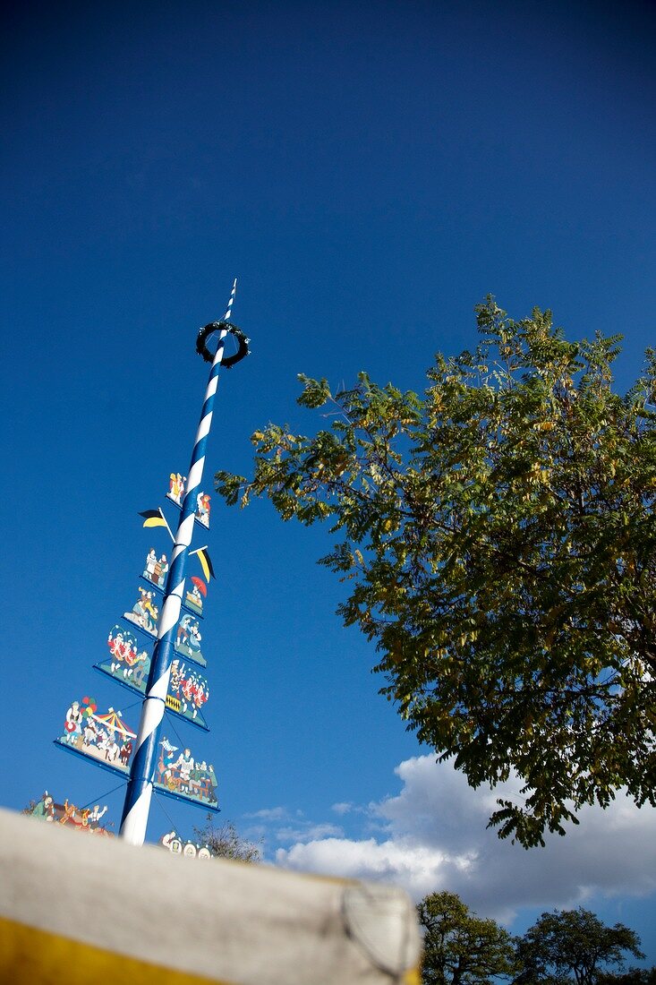 München, Maibaum auf dem Viktualienm arkt, Nr. 4