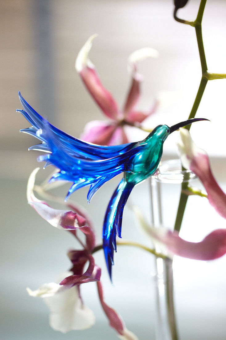 Close-up of glass humming bird with orchid rod in background