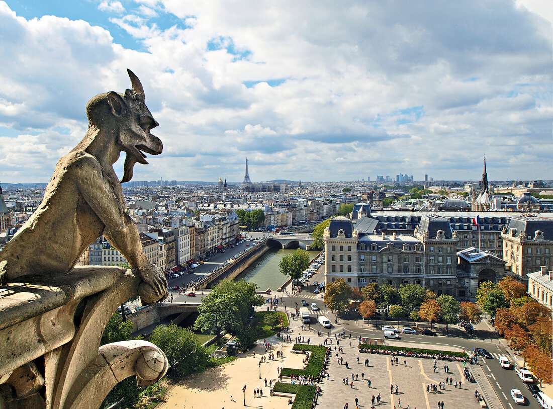 Mythical creatures of Notre-Dame against cityscape of Paris, France