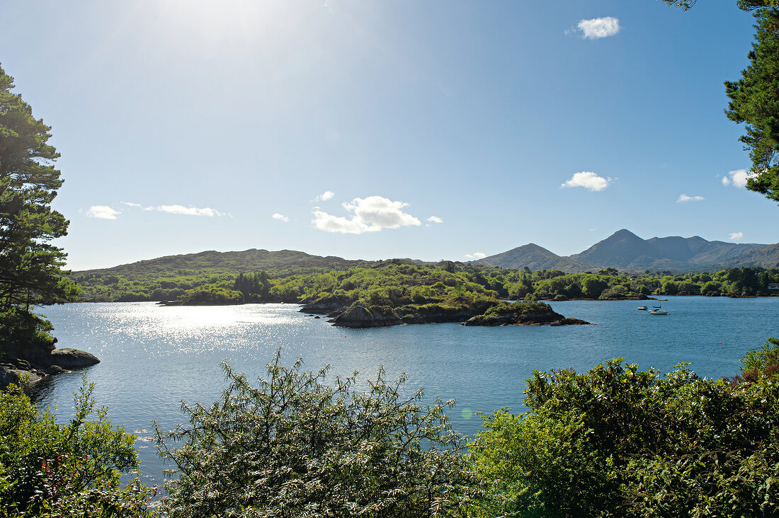 Irland: Blick auf Insel Ilnacullin, blauer Himmel