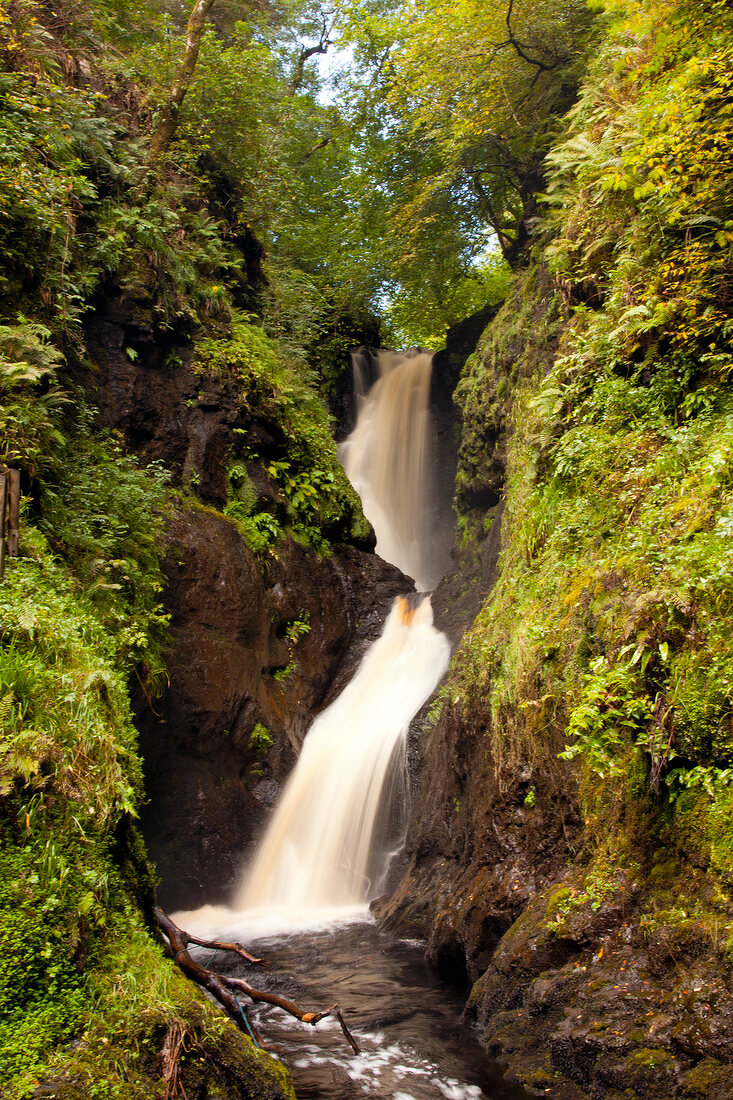 Irland: Glenariff Forest Park, Wasserfall.