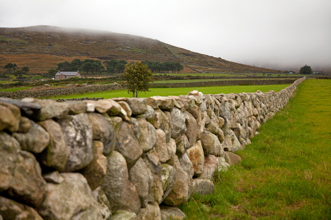 View of stone wall and hills in County Down, Ireland