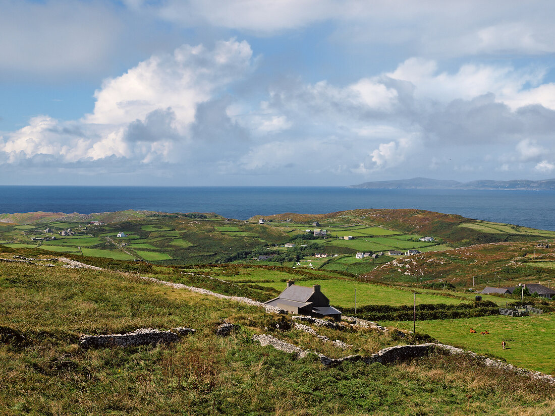 View of Cape Clear Island with overlooking sea, Ireland