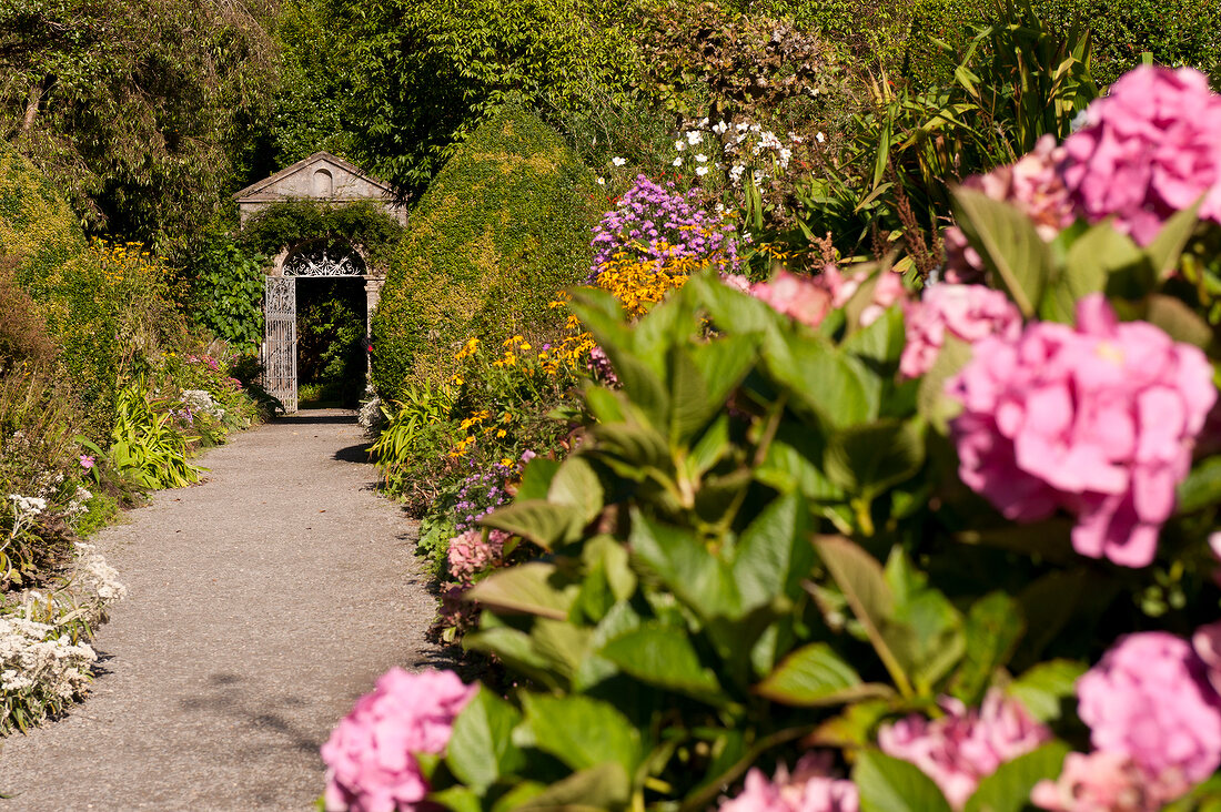 View of Italian flowers and garden gate in Ilnacullin, Ireland