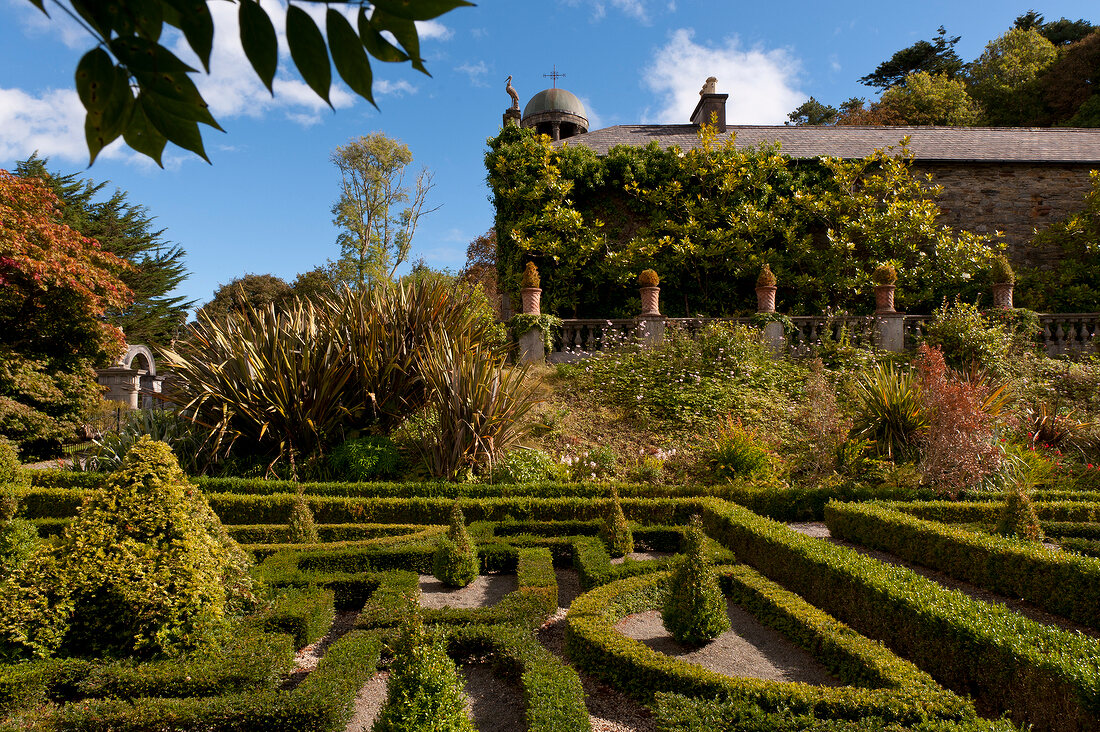 View of hedges in Bantry House garden, Ireland, UK