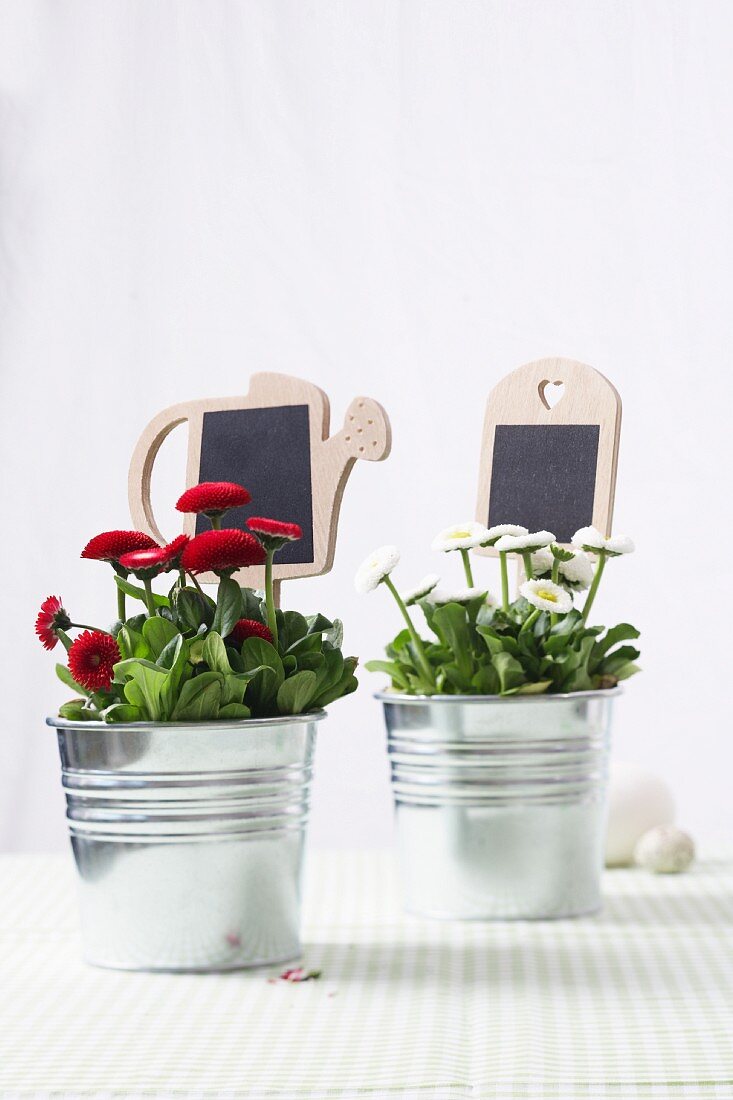 Daisies in zinc buckets with decorative labels