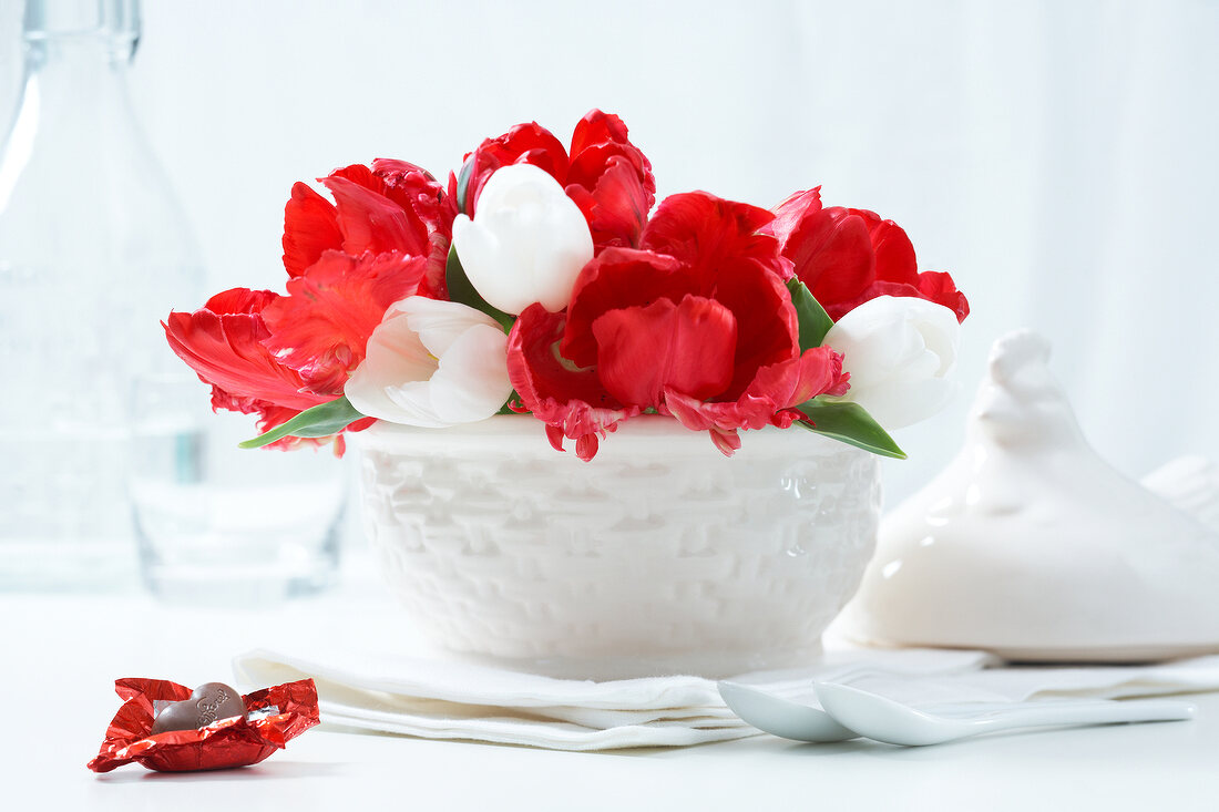 weiße Tulpen und Papageientulpen in rot, in weißer Schale