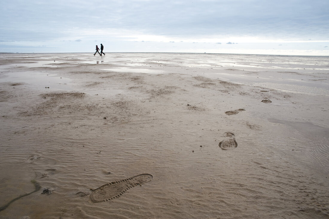 2 Menschen wandern im Watt 