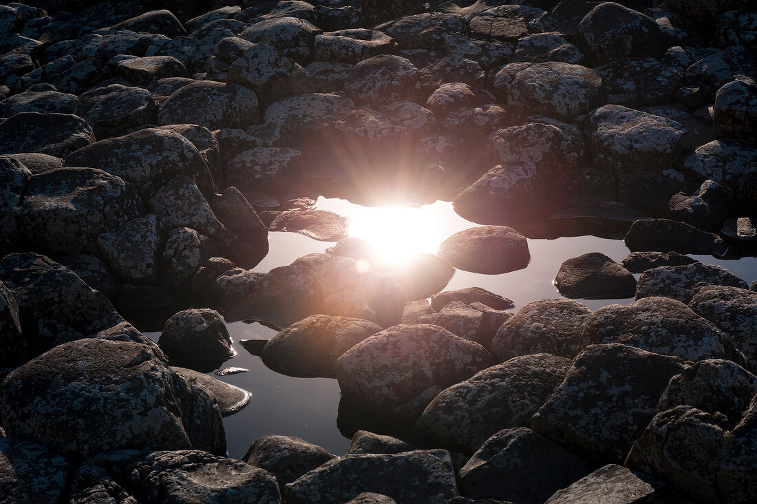 View of stones and sun reflection in puddle in Giant's Causeway, County Antrim, Ireland