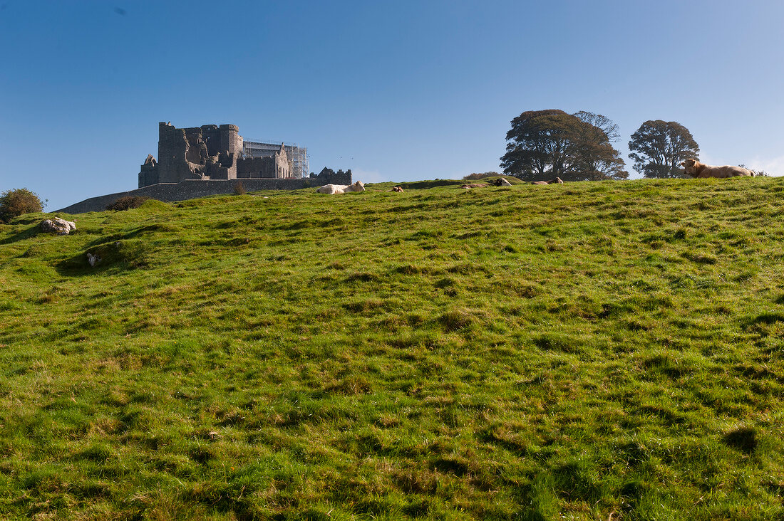 View of Rock of Cashel castle ruins on hill, Ireland, UK