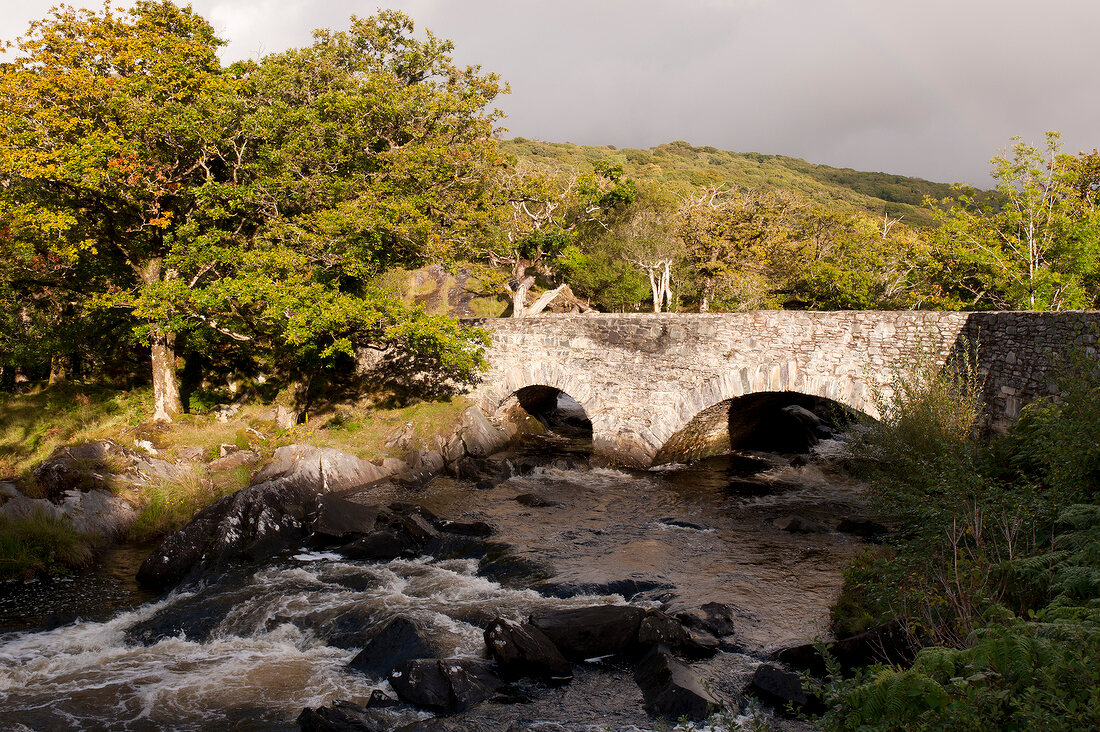 Irland: Ring of Kerry, Killarney National Park, Brücke.