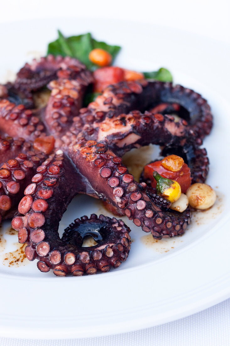 Close-up of octopus with vegetables on plate
