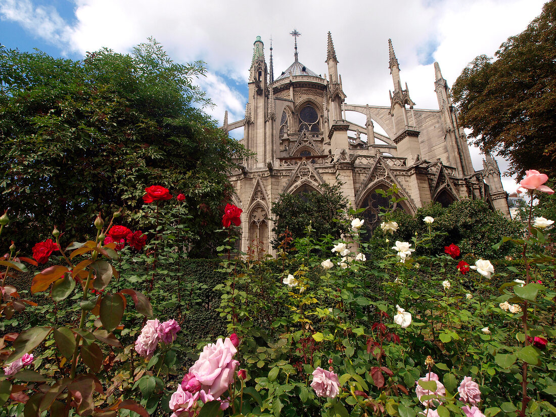 View of Notre-Dame Cathedral and garden in Paris, France