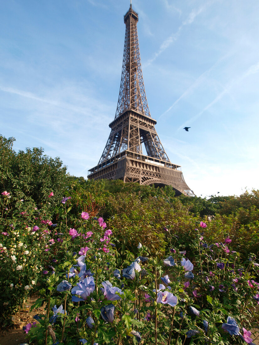 Monument in front of Eiffel Tower, Paris, France