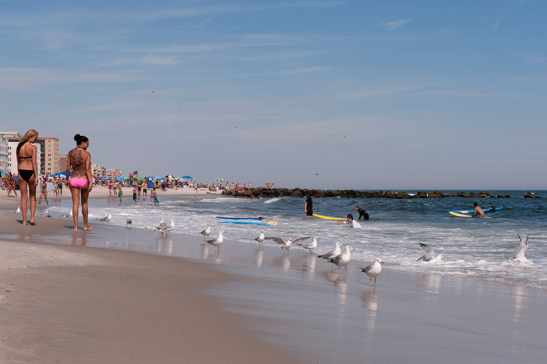 Women walking on sea shore and seagulls on beach in New York, USA