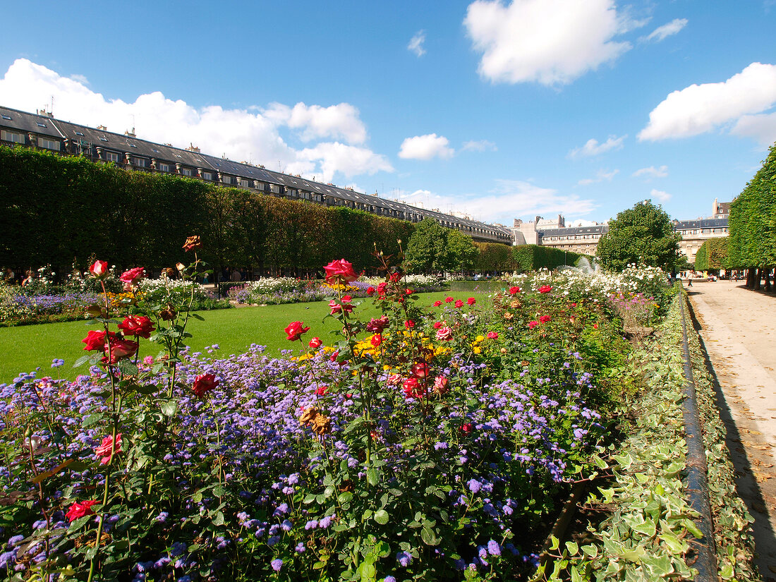 Palais Royal Park in Paris, France