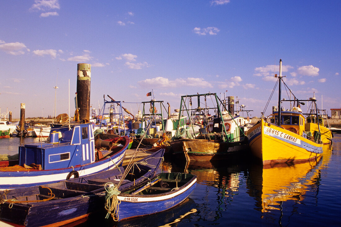 Setúbal, Im Hafen von Setubal