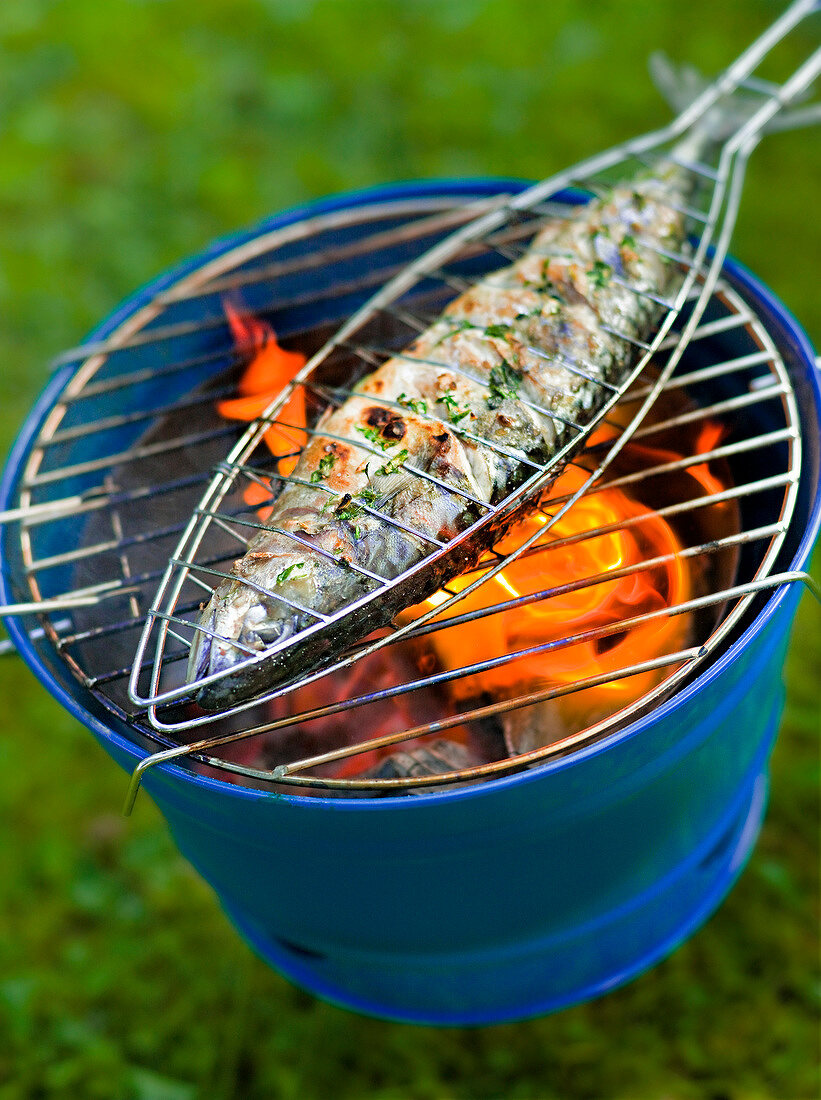 Close-up of mackerel being grilled with herbs and fennel in summer kitchen