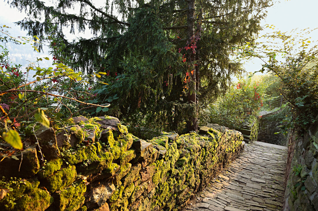 Heidelberg: Serpentinen, Schlagen- weg